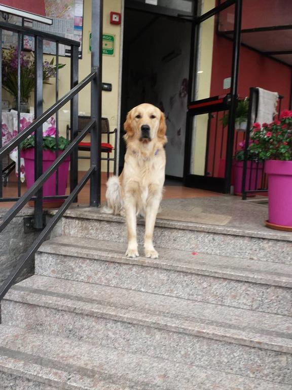 Hotel Renato Sesto San Giovanni Bagian luar foto